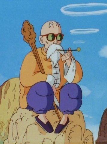 Picture of Goku's Master